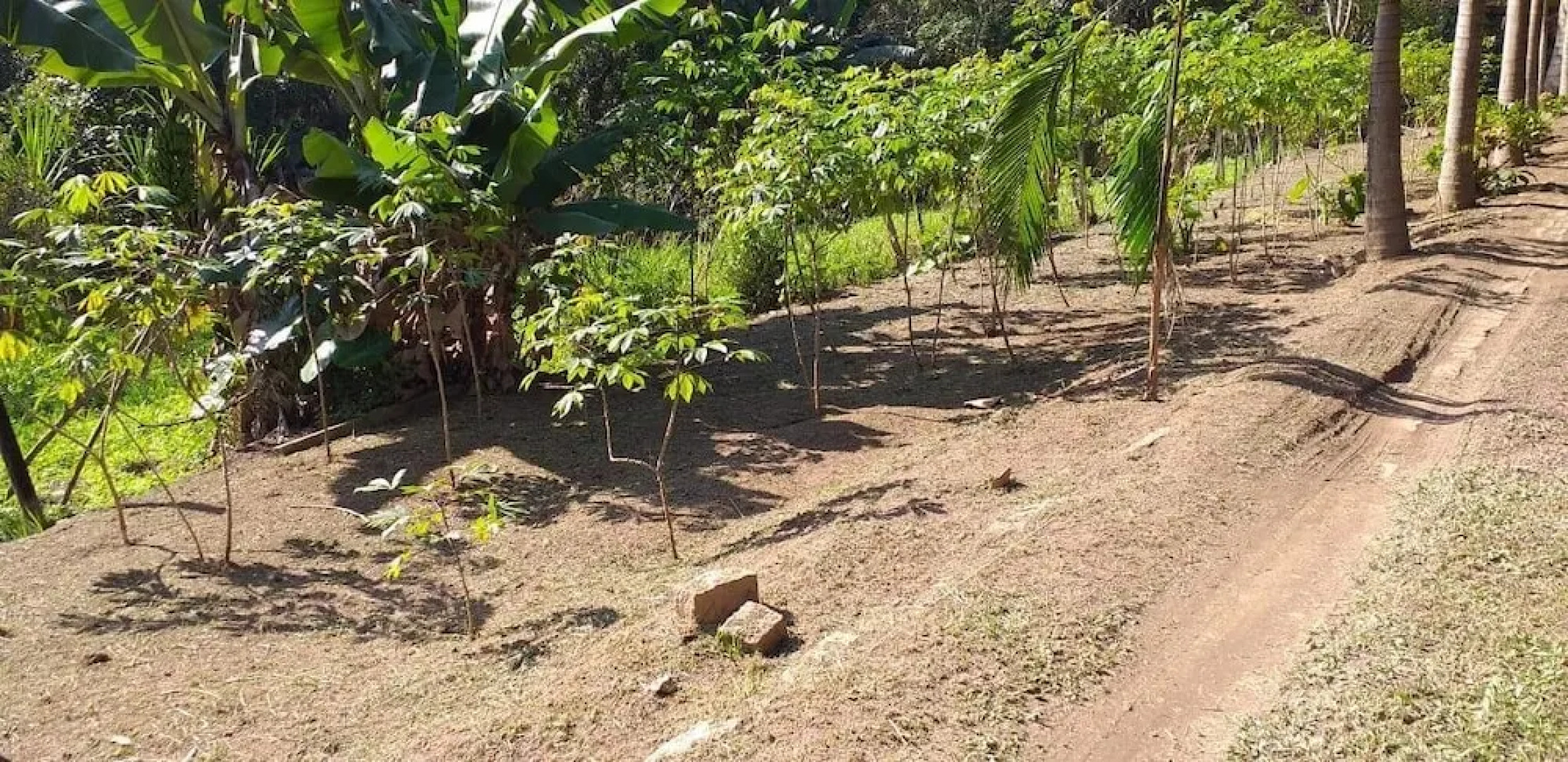 Espaço UNIFLORA Eventos