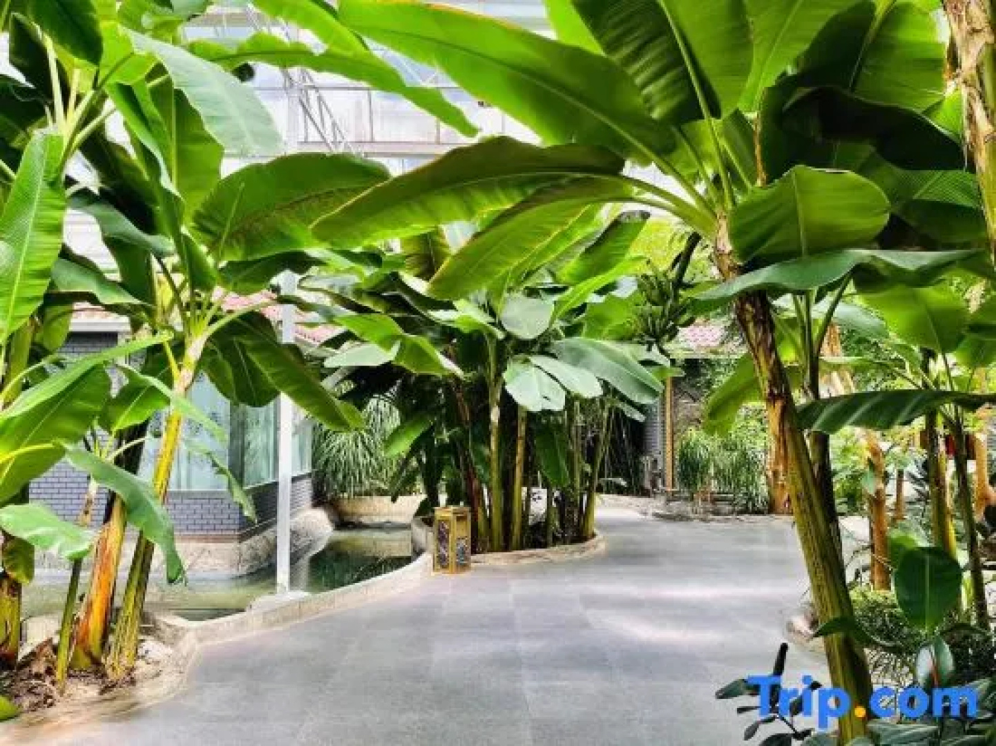 Kuitun Hotel