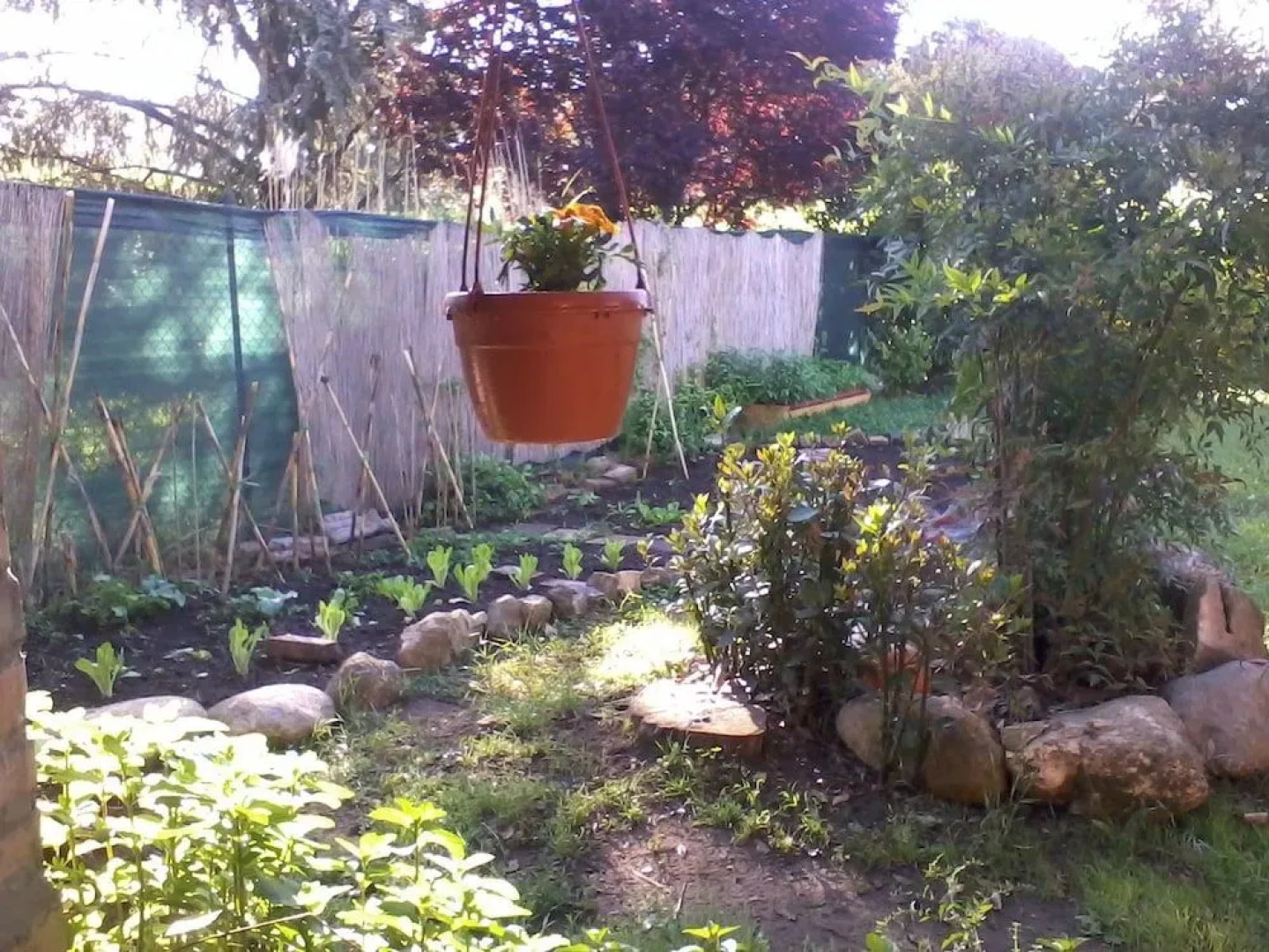 L'Acchiappasogni Bed And Breakfast