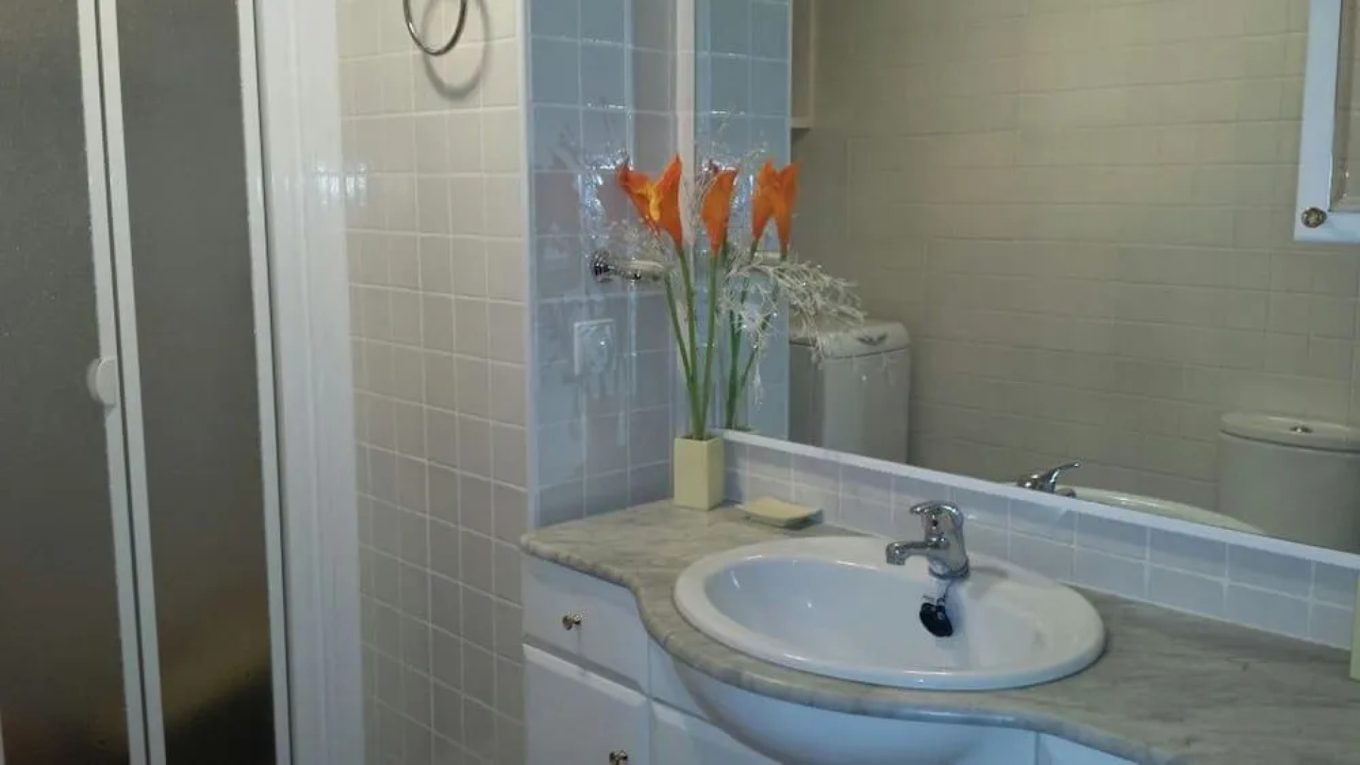 Apartamentos Dinasty