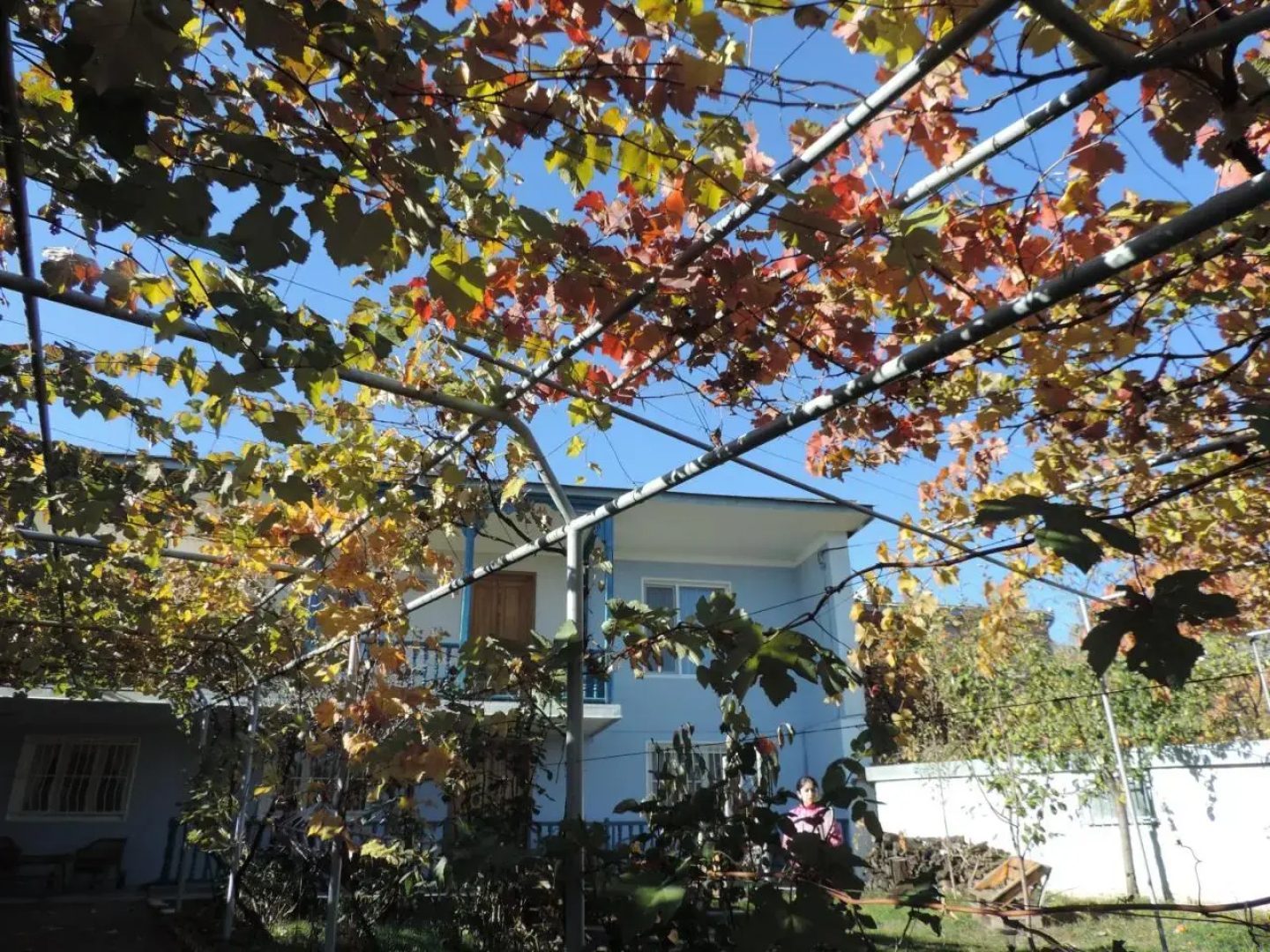 Tetriani Guesthouse