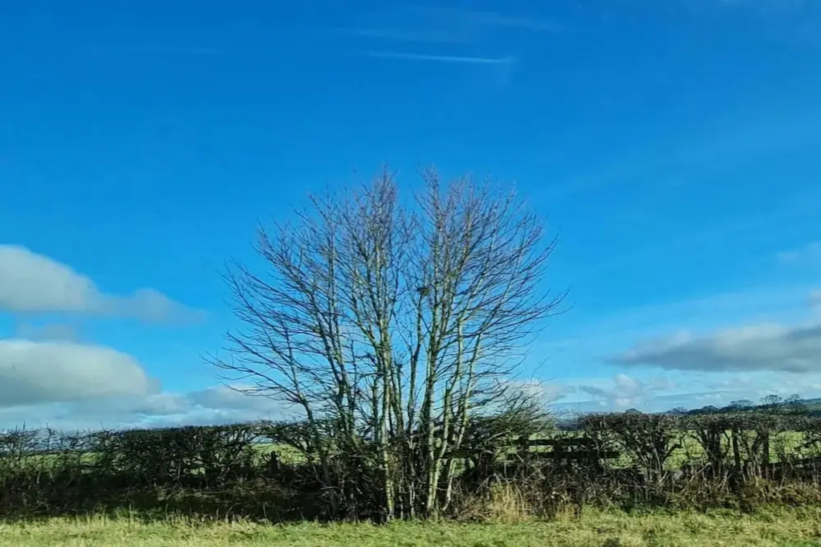 Immaculate 3-bed House in Durham Near Sedgefield