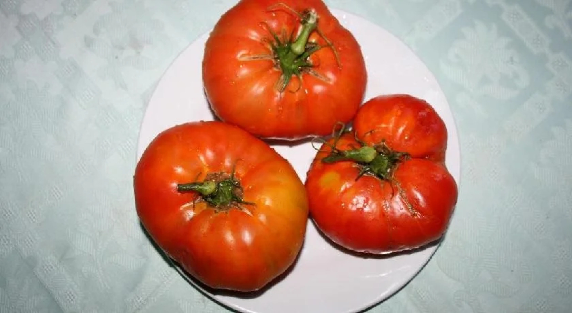 Hotel Rural La Enoteca del Marqués