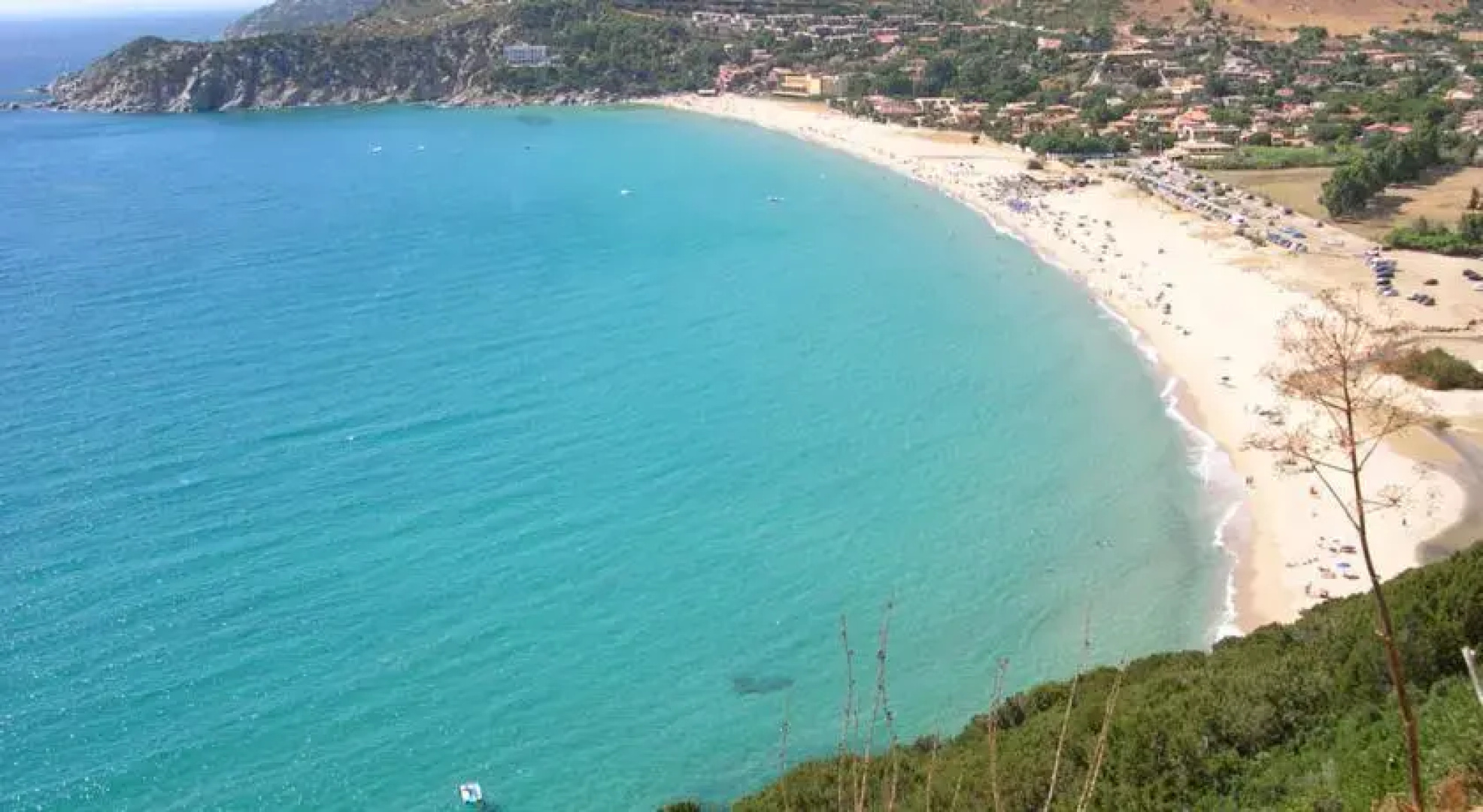 Pinella