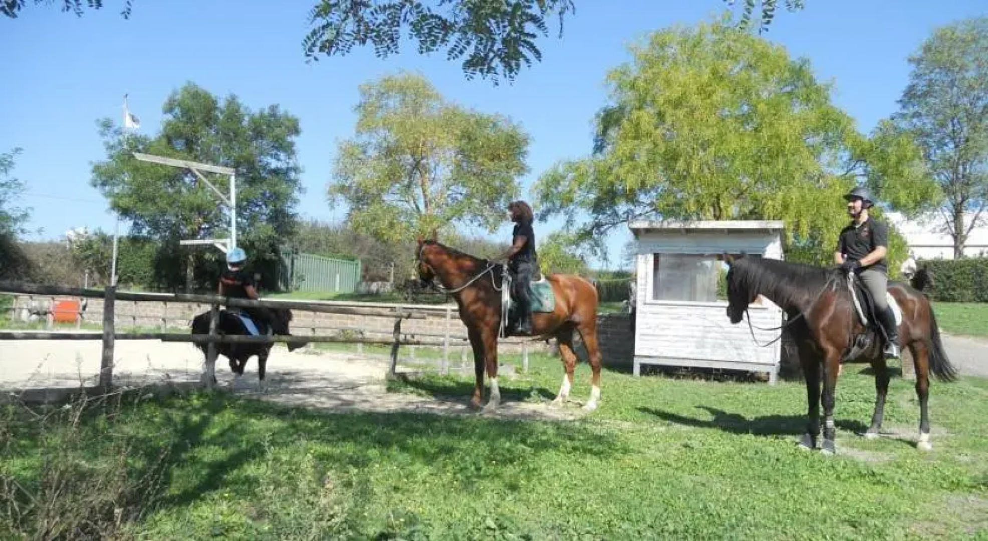 Cavallo Di Fiori - Agriscuderia