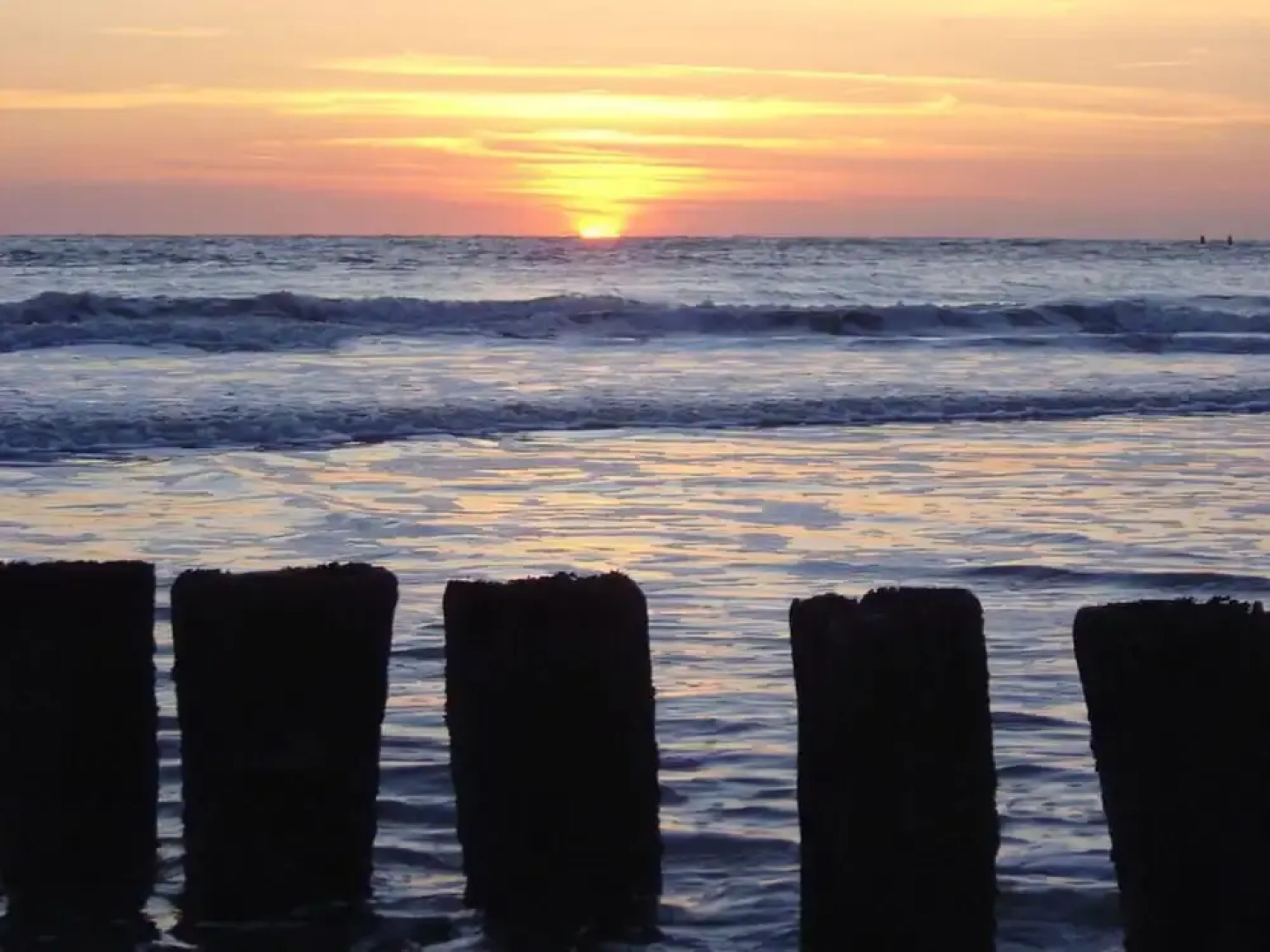 Schelphoekje Modern Retreat