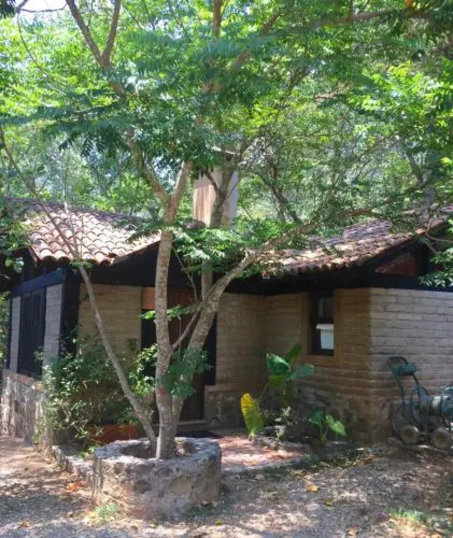 La Galerita De San Sebastian