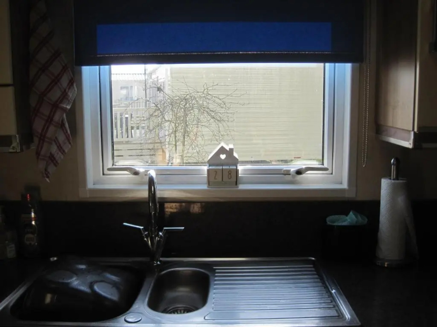 Violet 28 Oakdene Forest Park