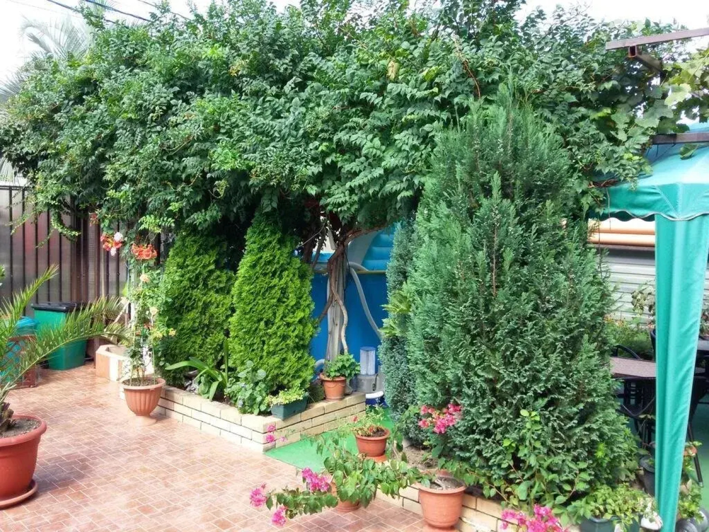 Lazurniy Guest House