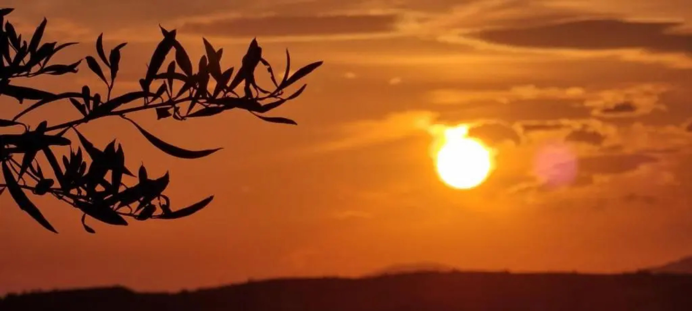 HEAVENLY VIEWS-3- Elegant& Chic, Apartment, Close to the Beach!