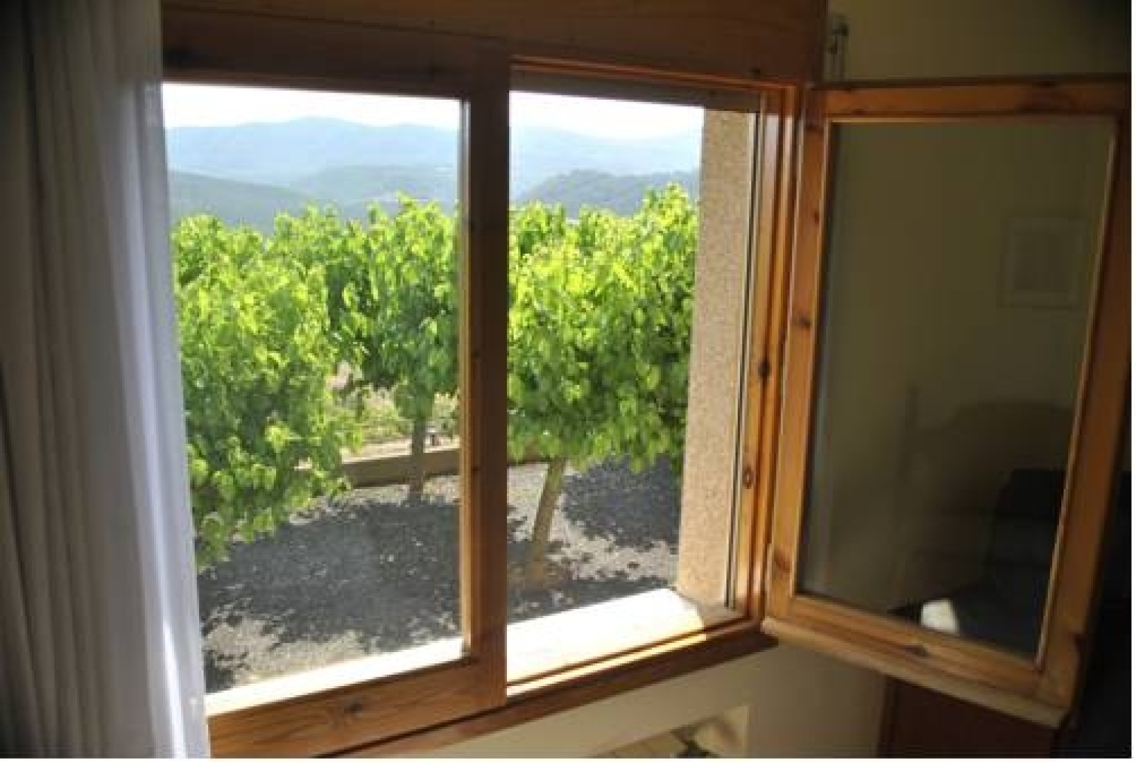 Hostal El Violí