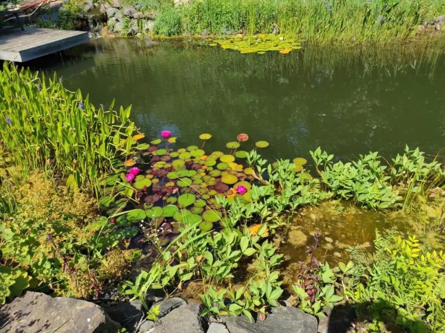 Suite Vorderrhön Anní