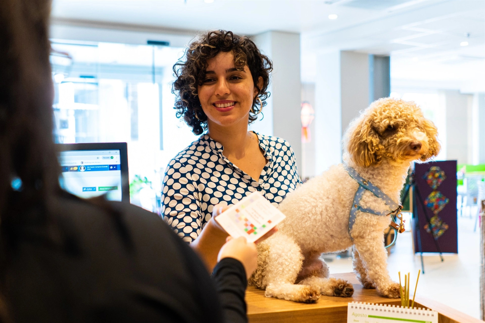 Ibis Styles Campina Grande