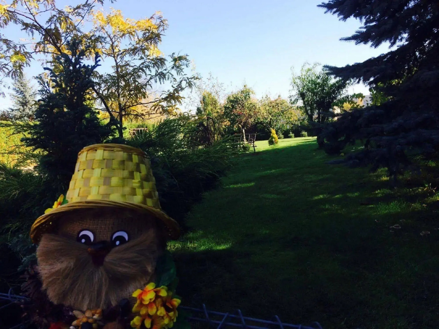 Hotel B.A.S. Villa Residence