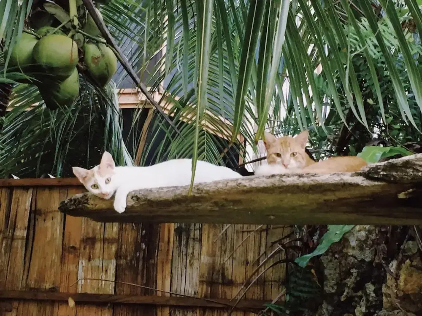 Nature Island Resort