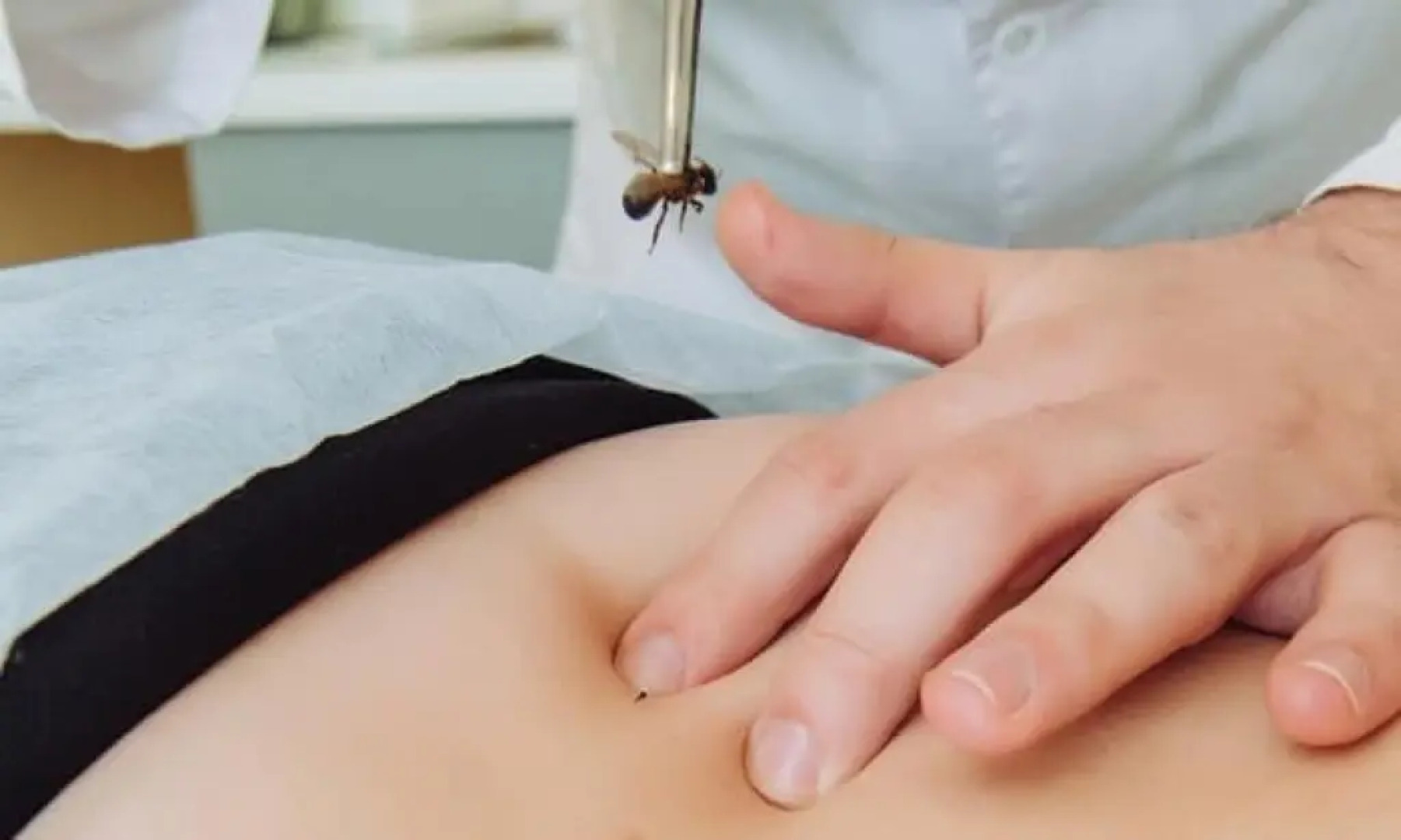 Sanatorium of power engineers