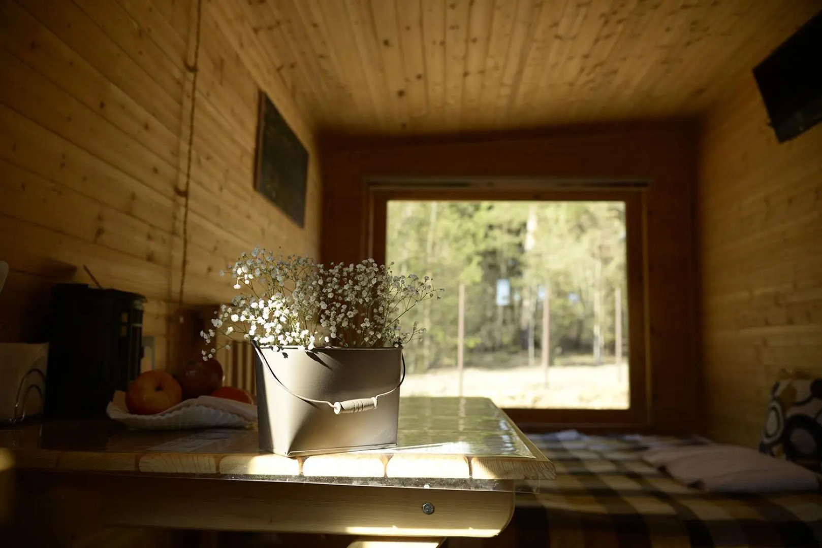 Рузские Лужки База отдыха