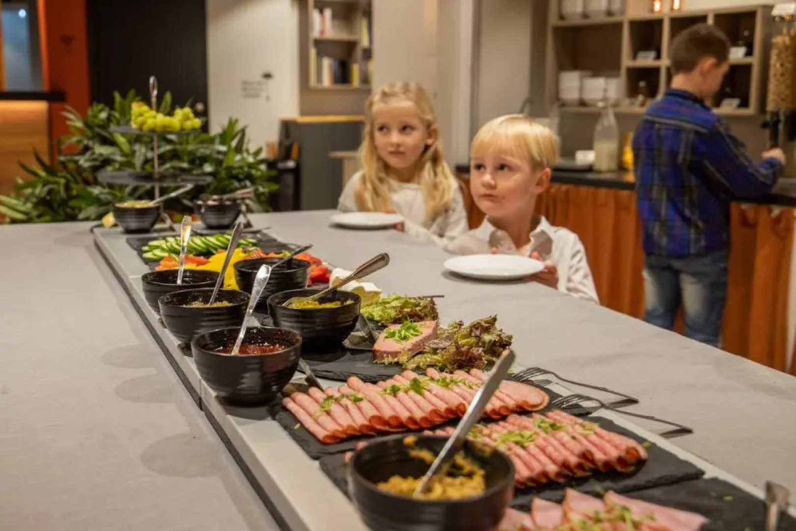 Dream – Luxury Hostel