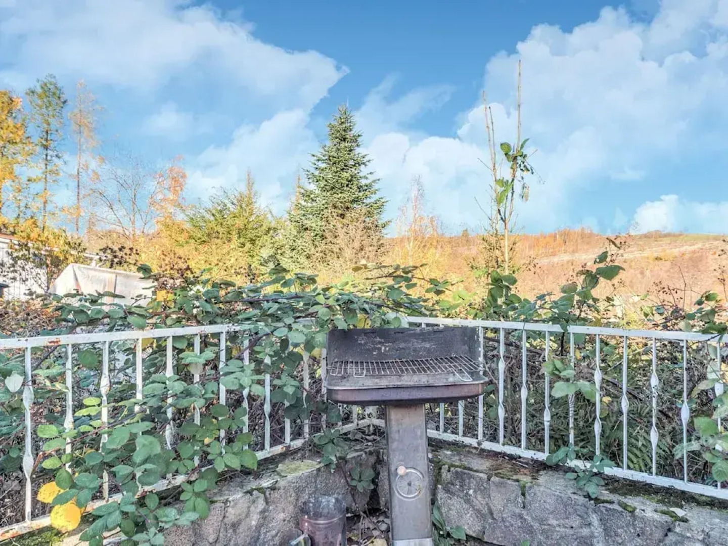 Chalet in Guntersberge Near Ski Trails