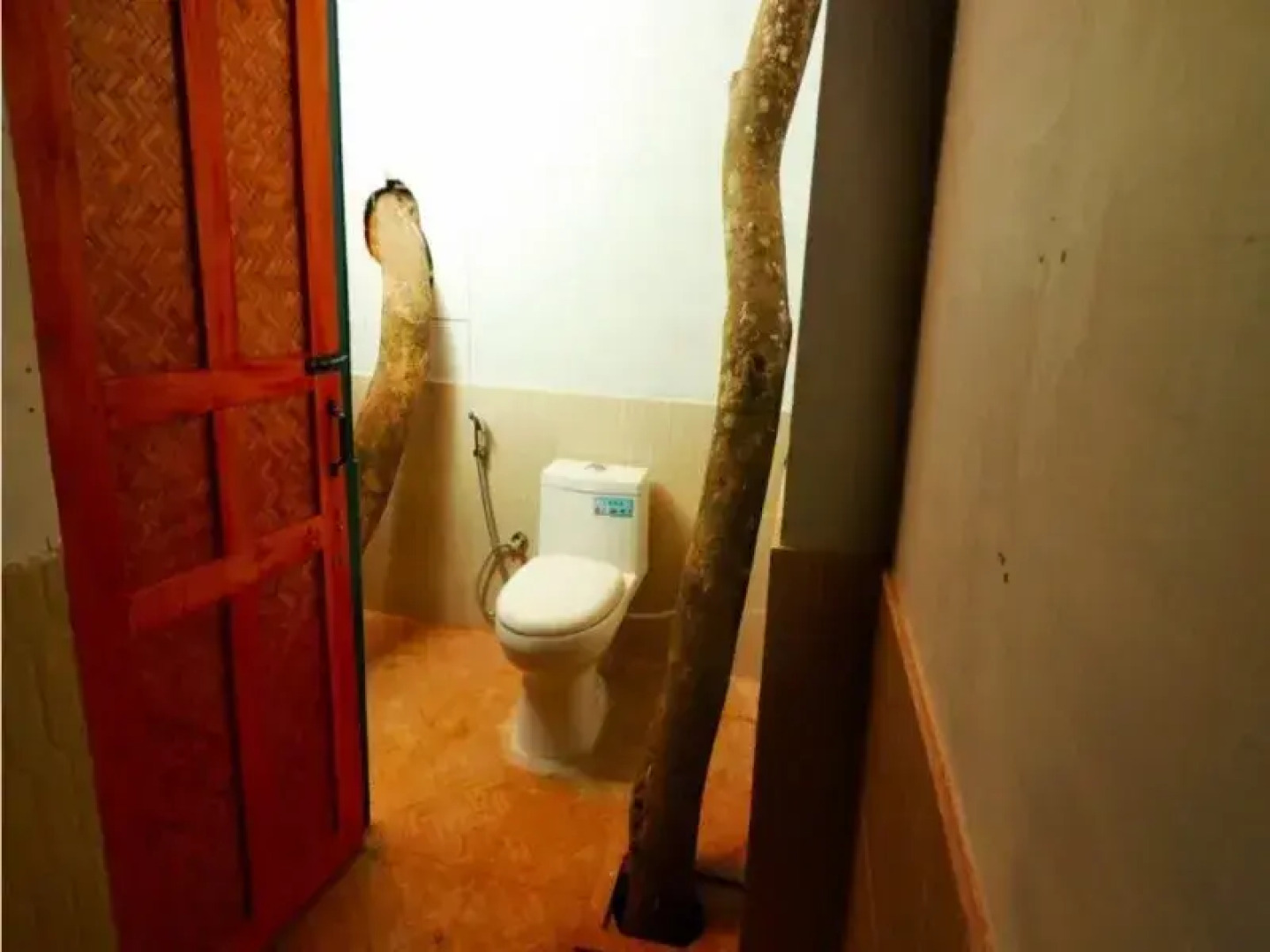 Vythiri Meadows Hotel