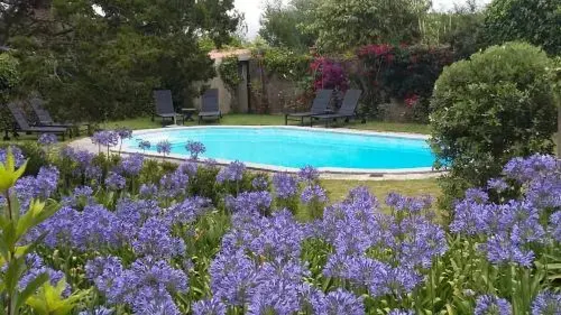 quinta Colina flora