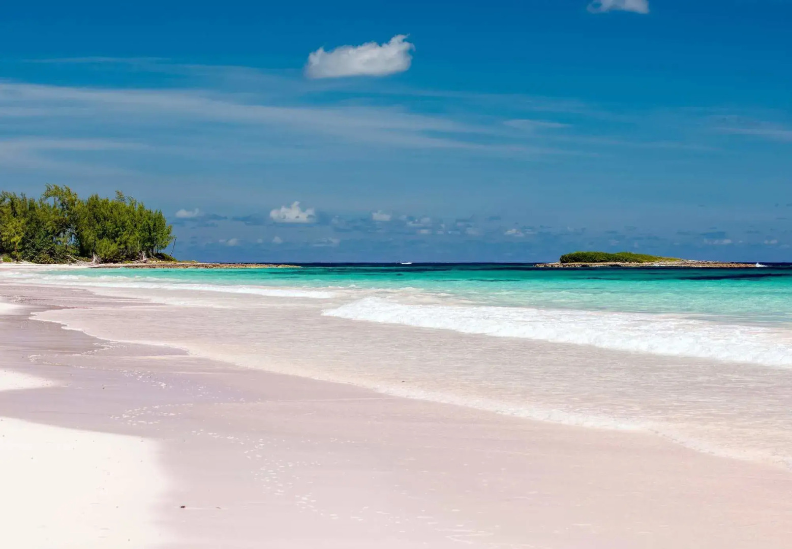 French Leave Resort, Autograph Collection