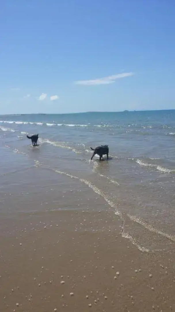 A Country View Motel - Ilbilbie