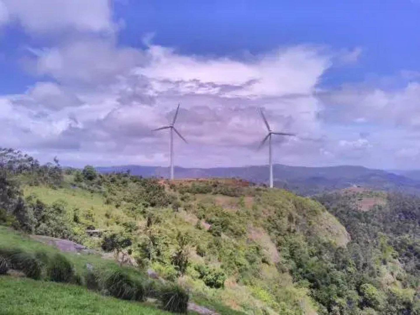 Wind Valley Homestay