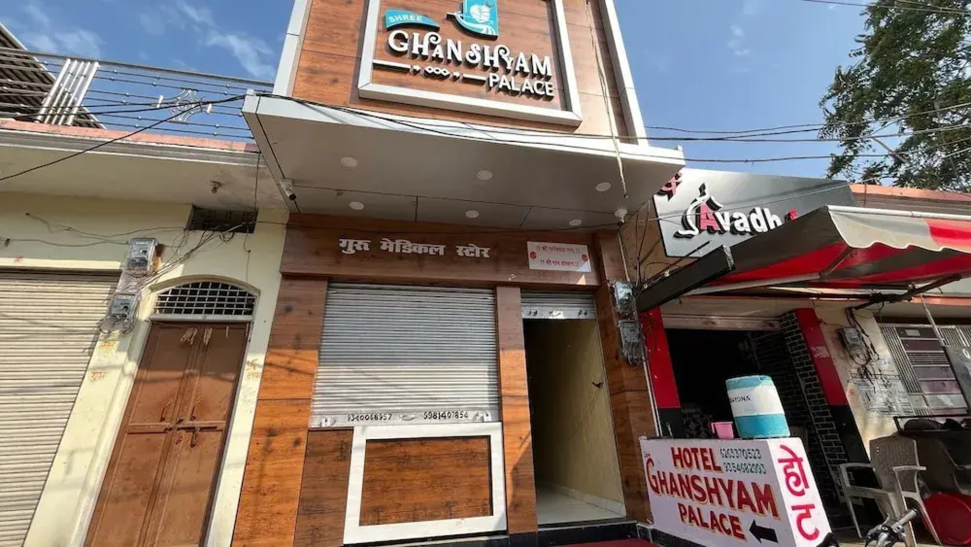 shree Ghanshyam palace