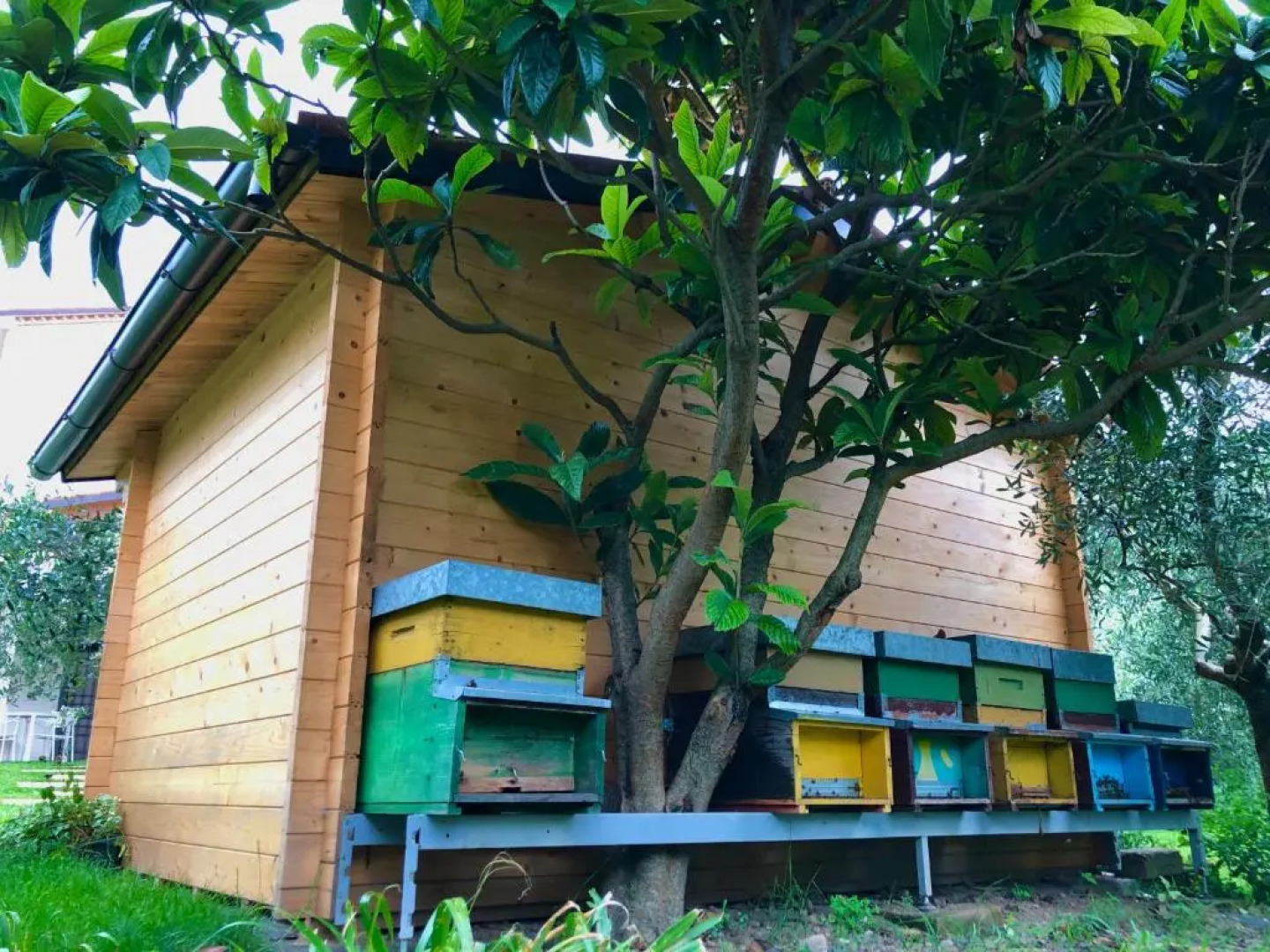 BeeHouse - La Casa delle Api Agriturismo