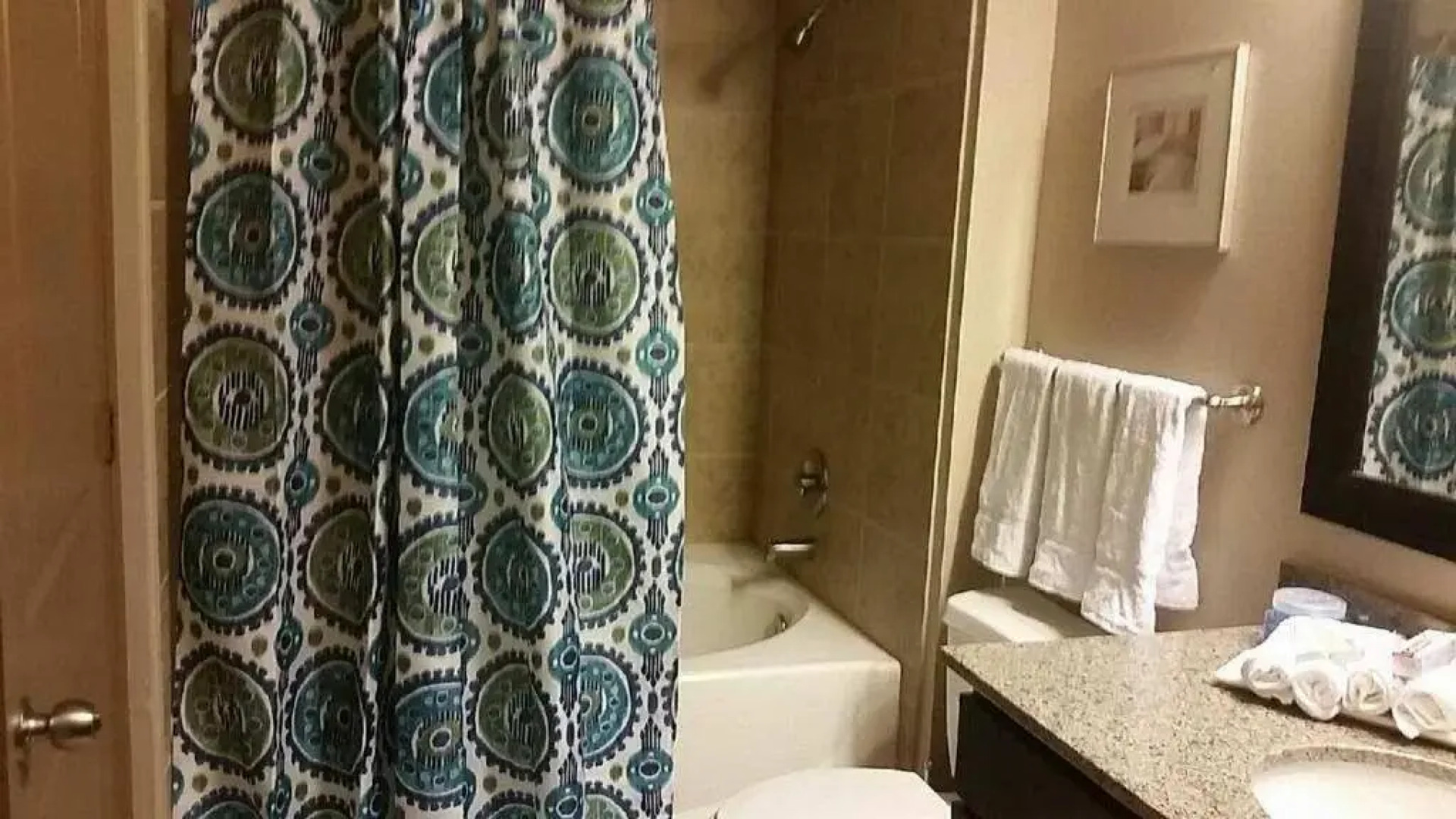 Resort Style Apartment/Home - The Woodlands