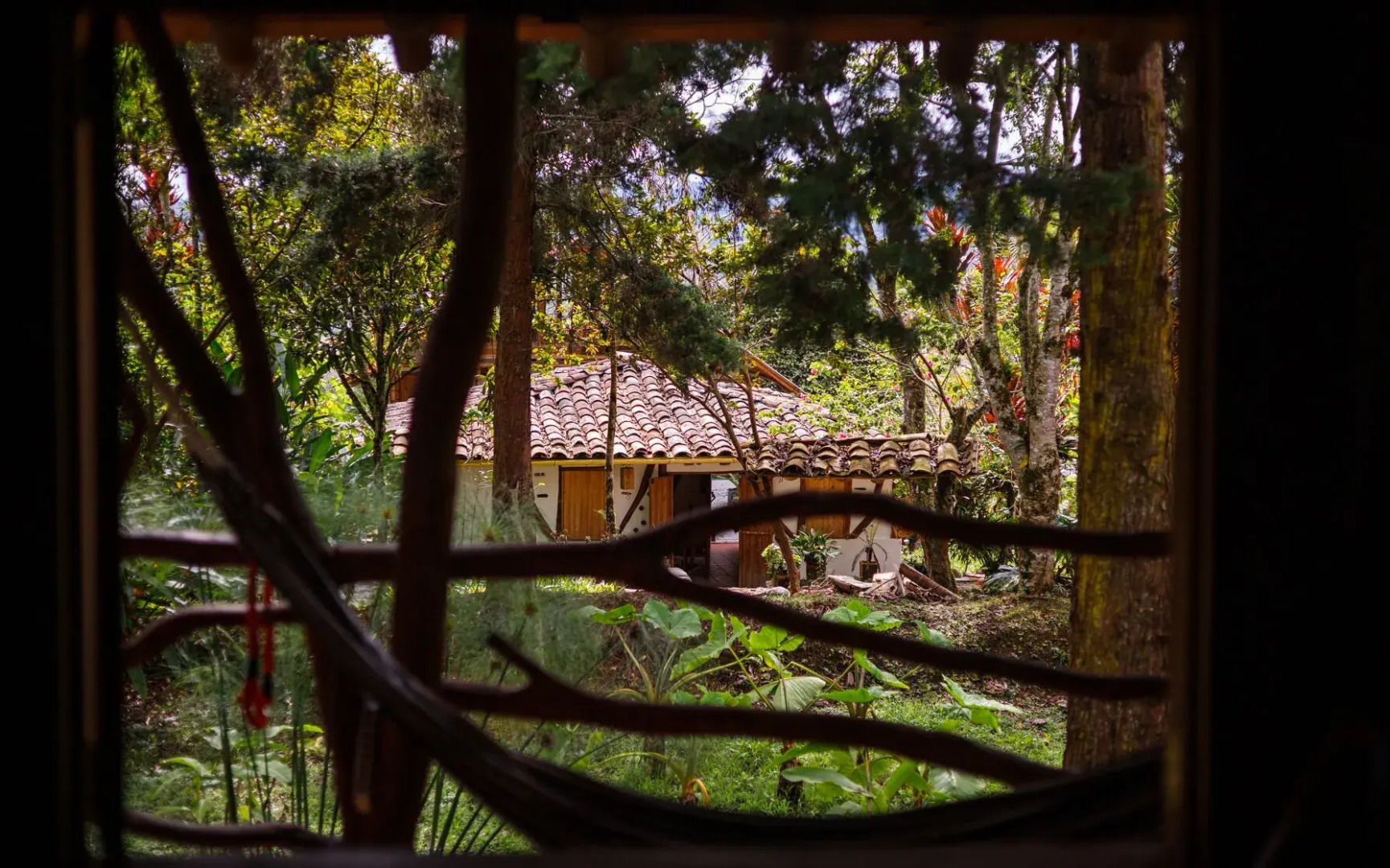 Hotel la Casa de Francois - Hostel