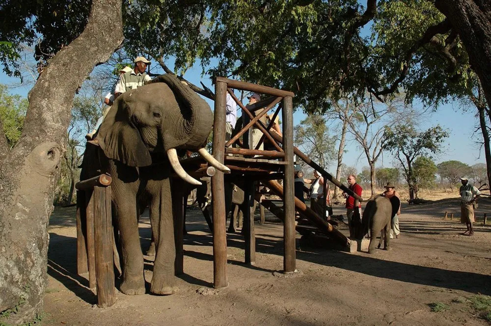 Thorntree River Lodge