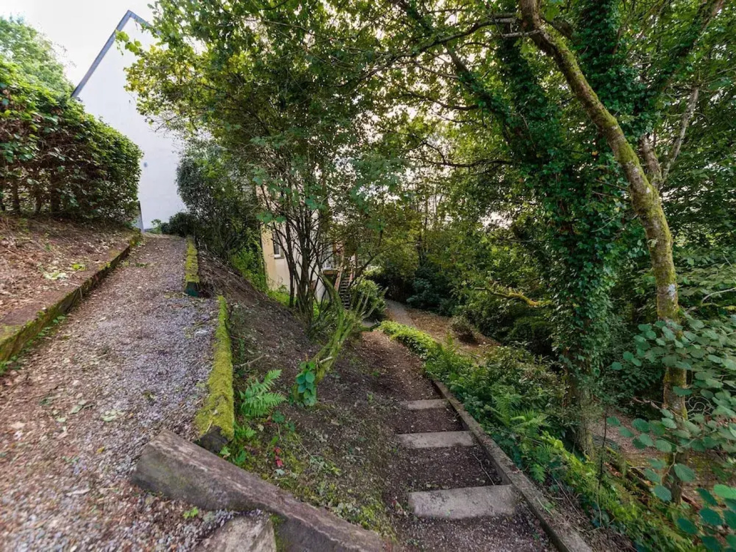 Forest Retreat in Bouillon