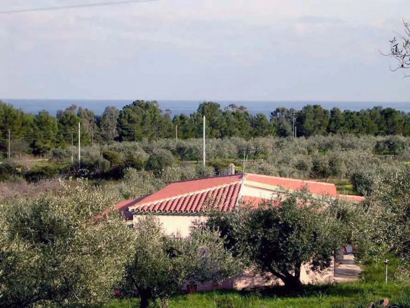 Villa degli Ulivi e delle Rose