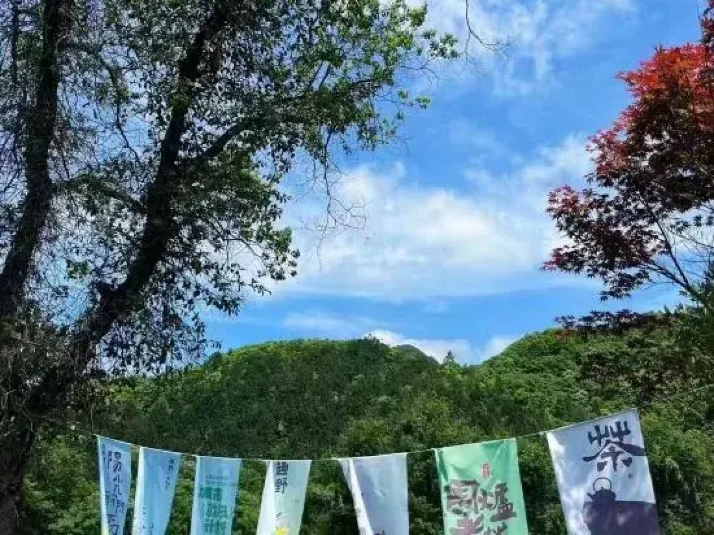 Selenium-themed Inn In West Huangshan City