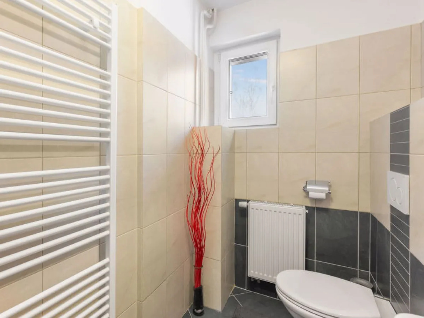 DESNá V JIZERSKýCH HORáCH