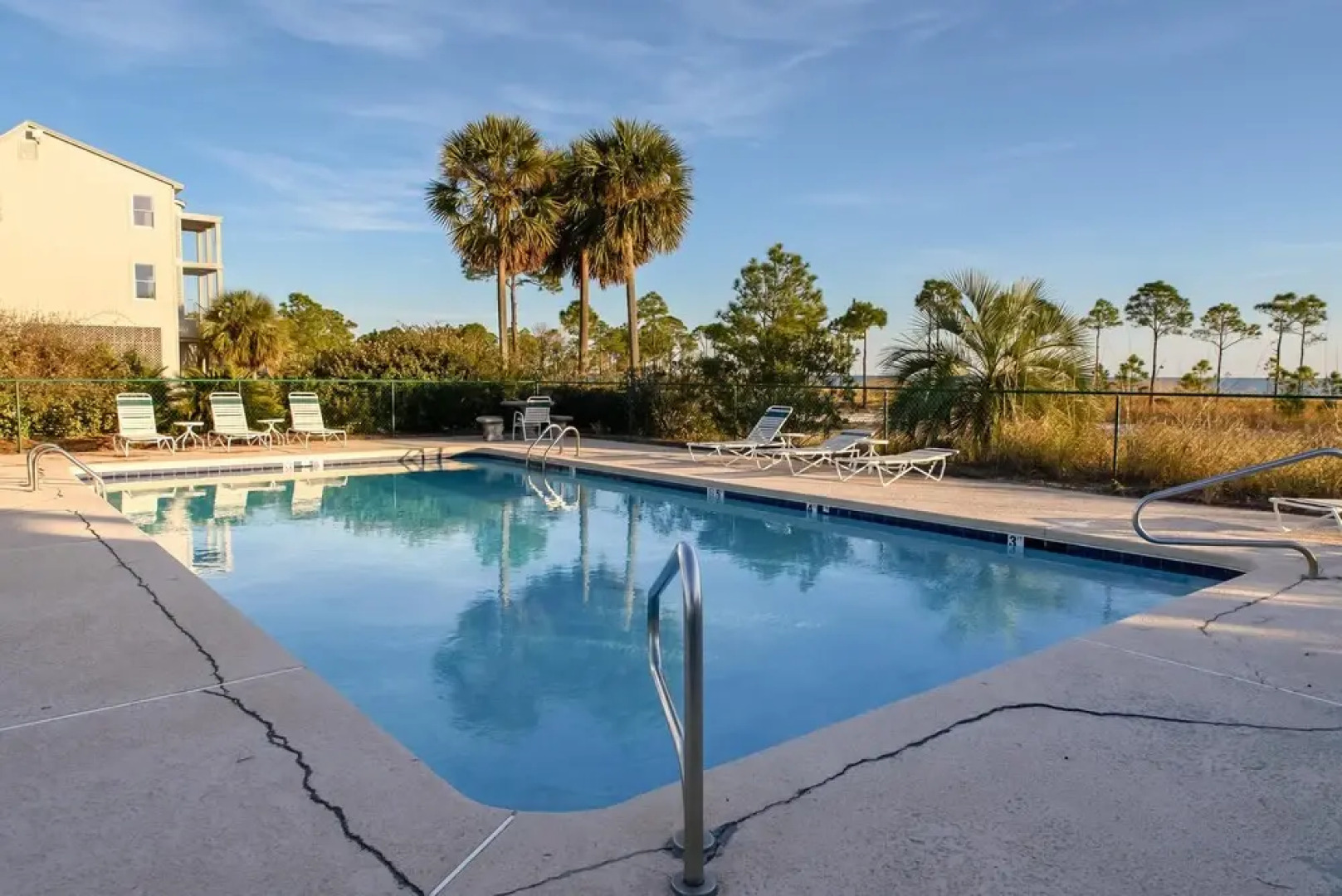 Purple Parrot - 200 Leonora Ct