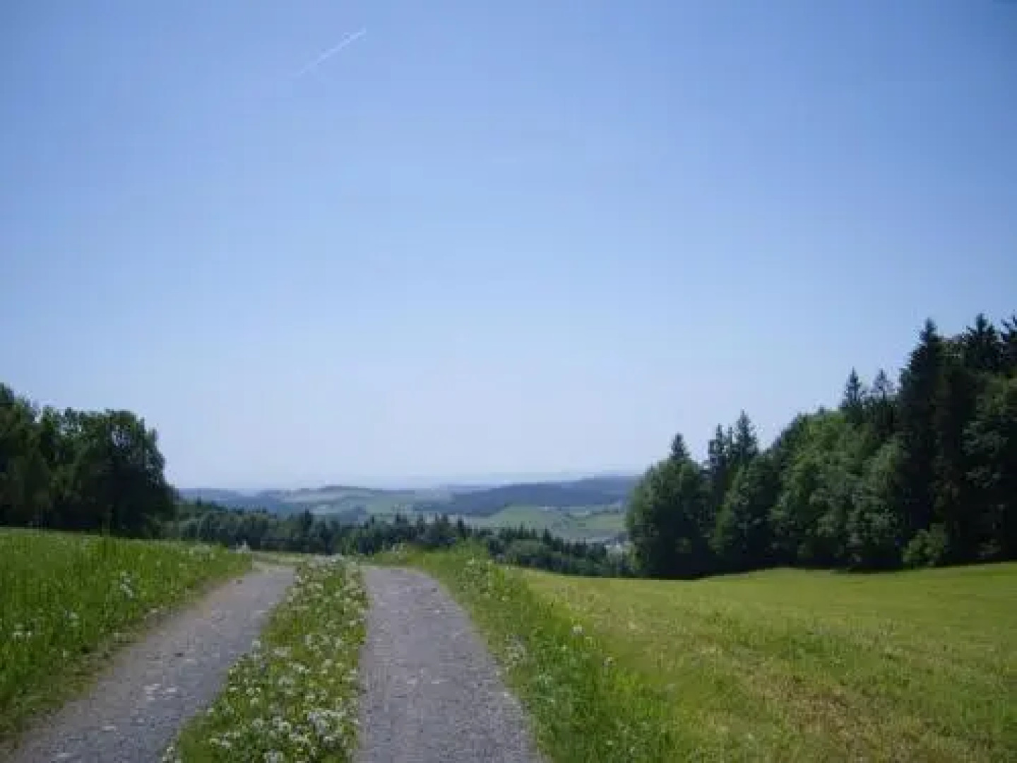 CAFE´- PENSION WüRFL-RAMMER