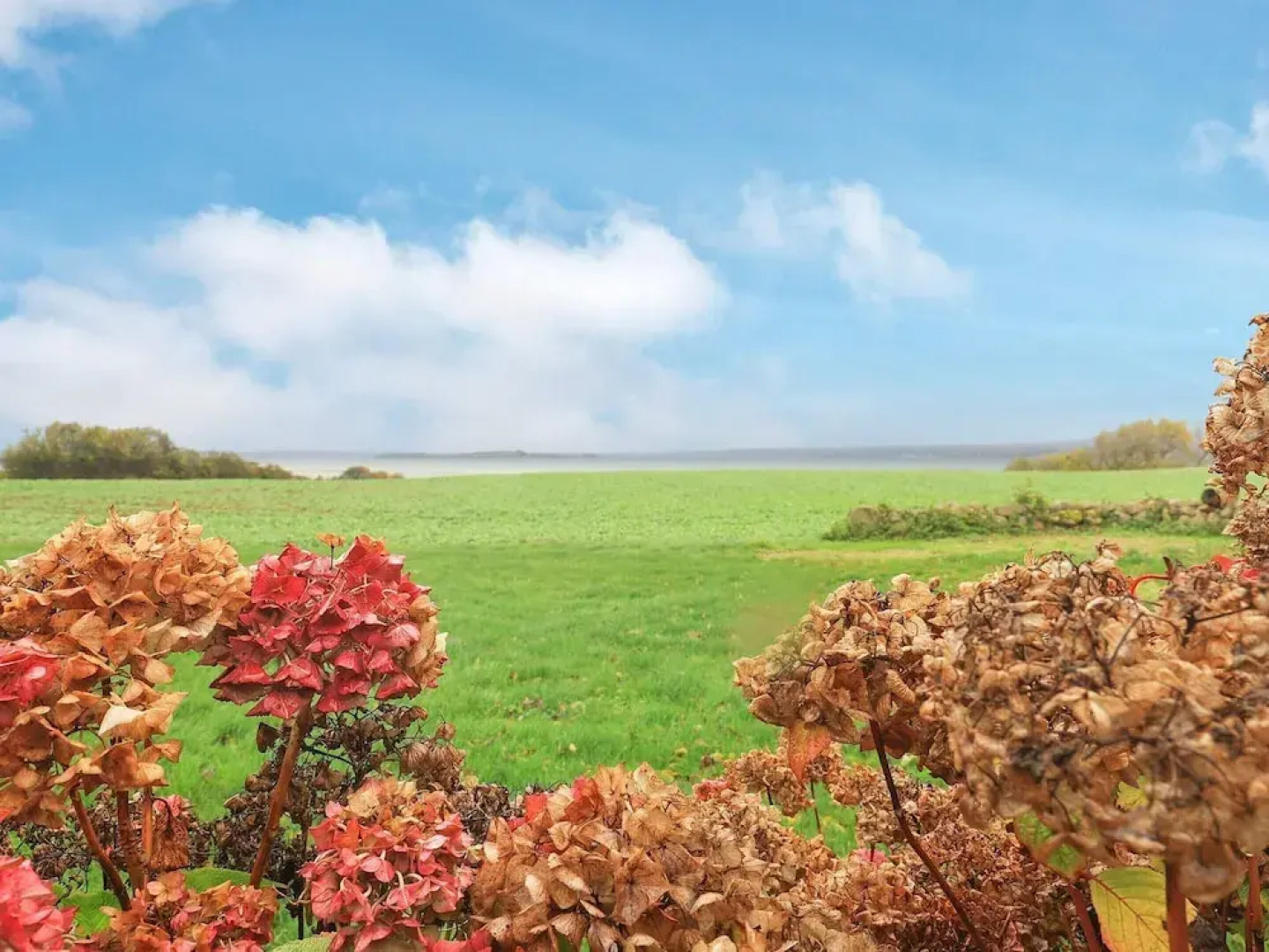 Cozy Apartment in Faaborg Municipality near Sea