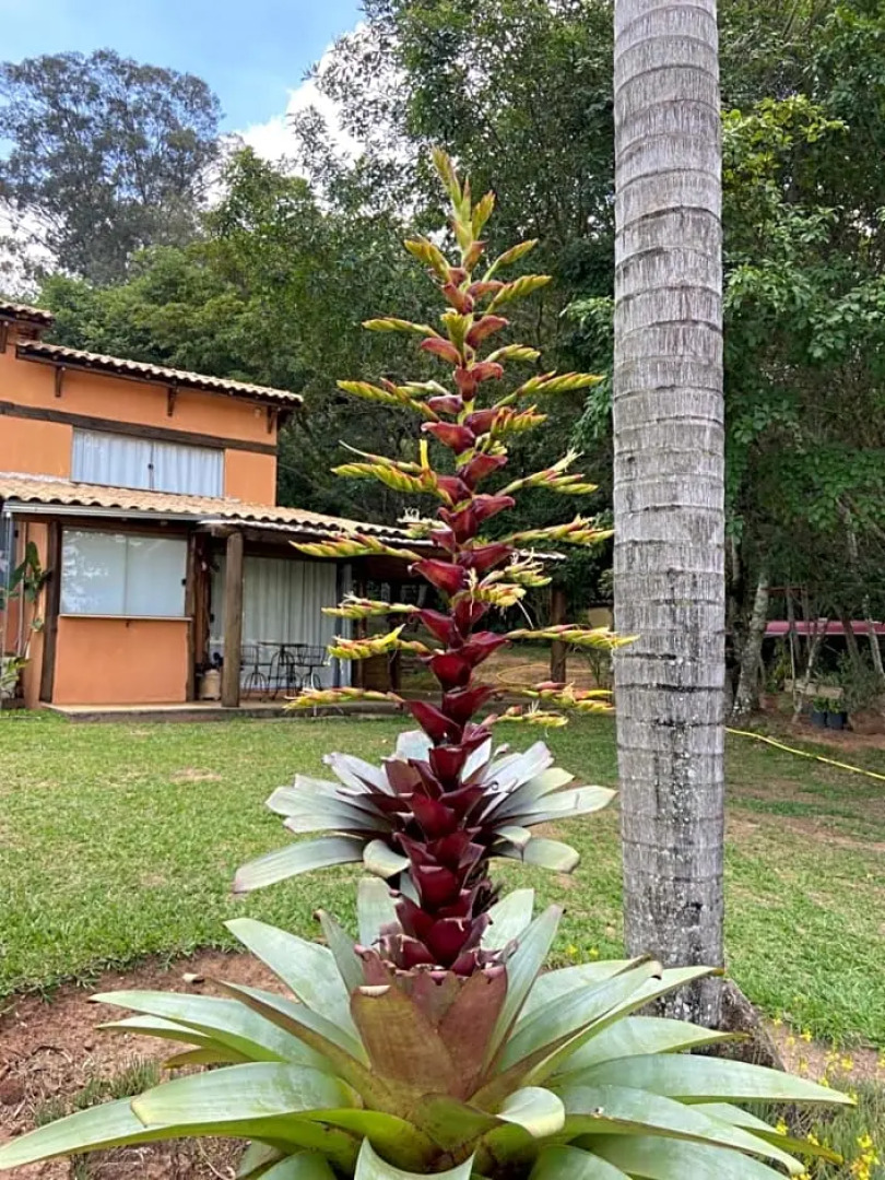 Pousada Ecologica Espelho D'Agua
