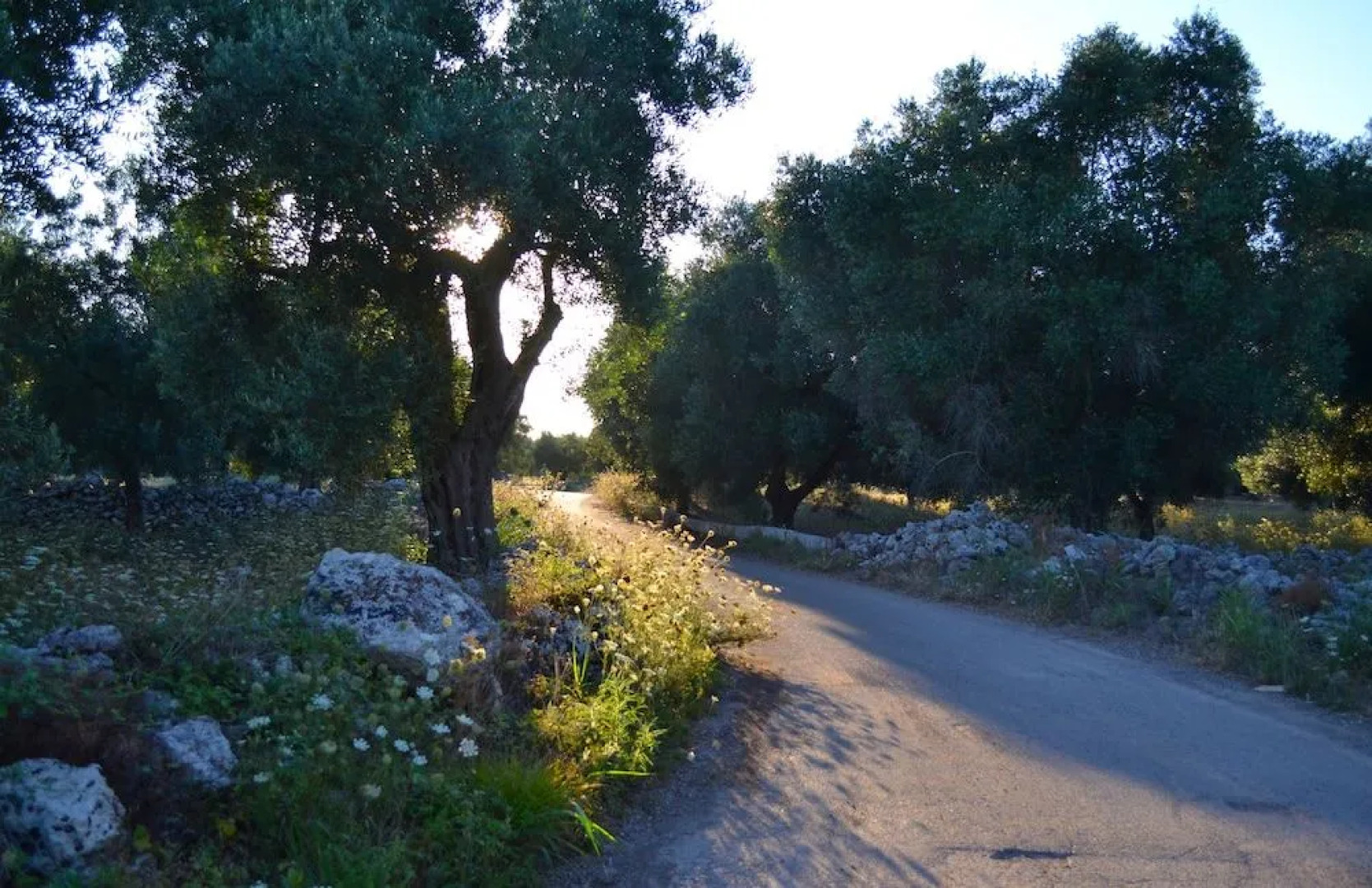 Salento Guesthouse B&B