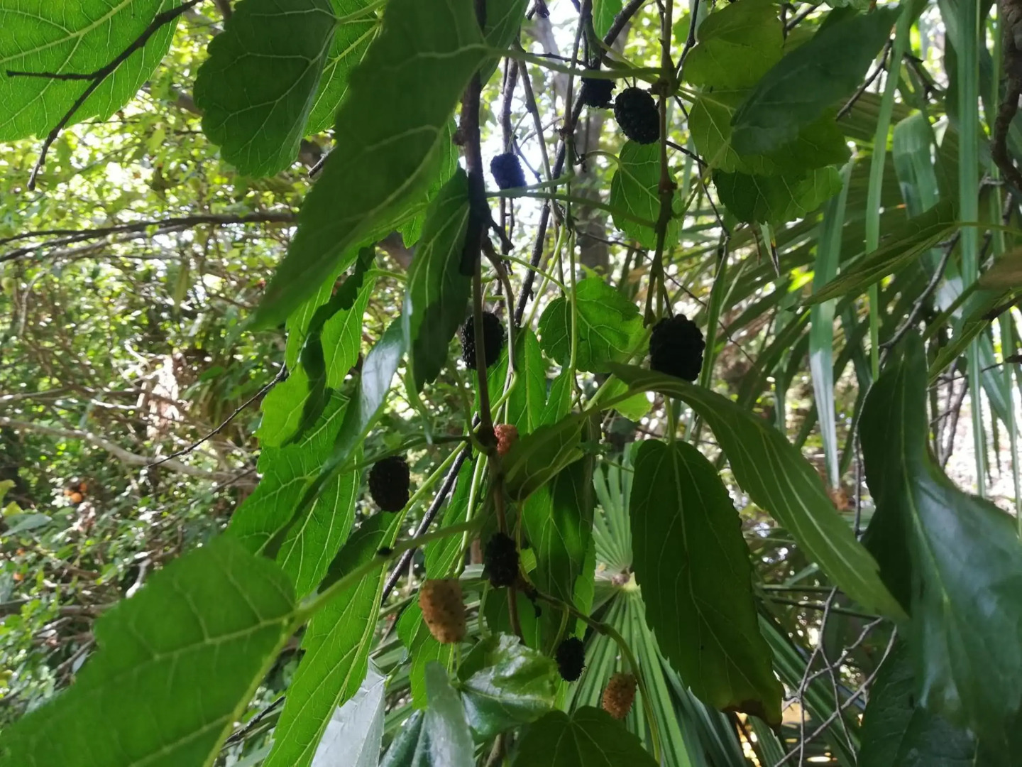 Sweet Apartment With Private Pool Lori Ankaran