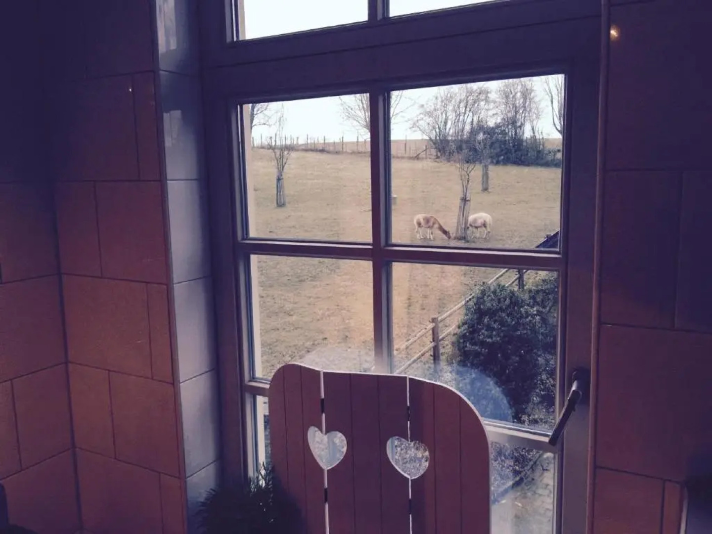 Countryhouse Zuid-Limburg