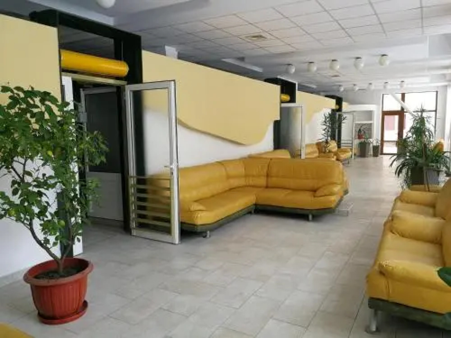 Hotel Cerbul