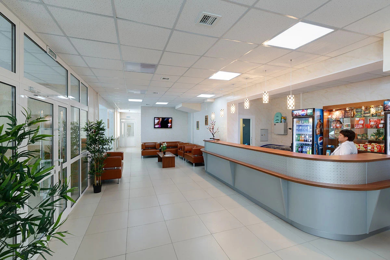 Кедровый бор