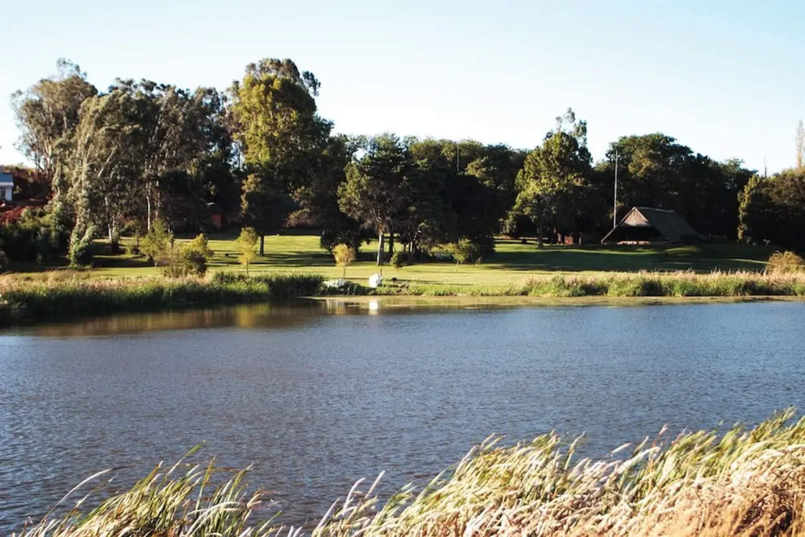 Sandford Park Country Hotel