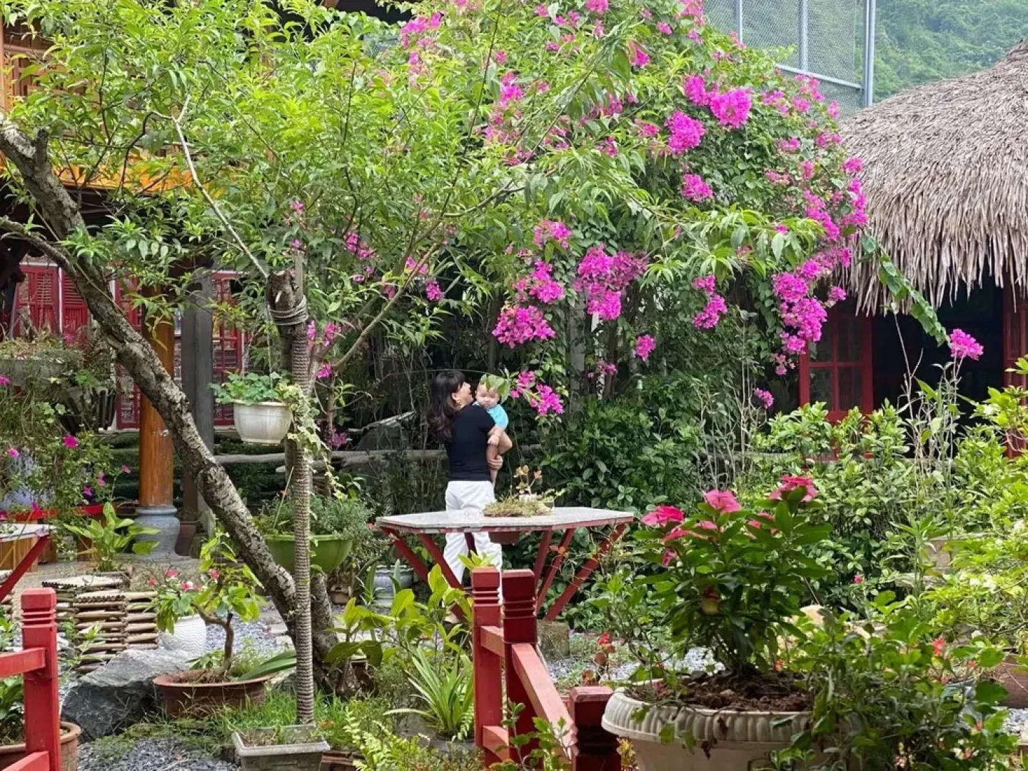 Maison Teahouse Homestay