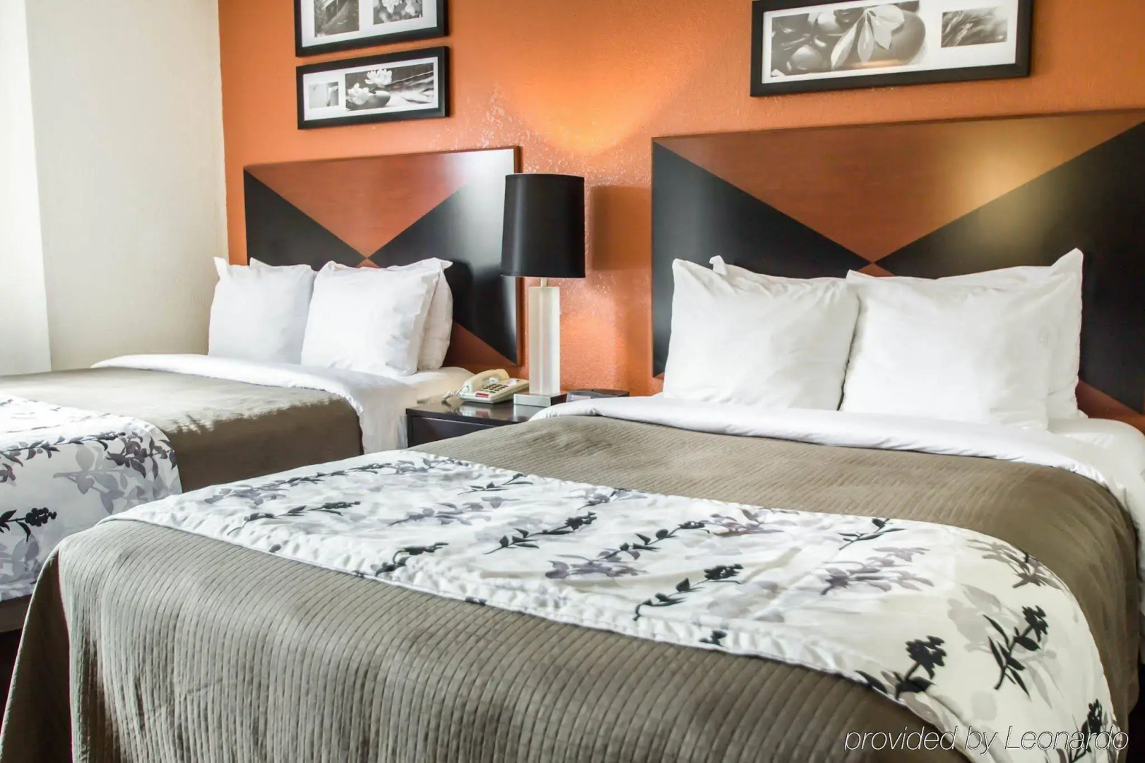 Sleep Inn Sarasota North