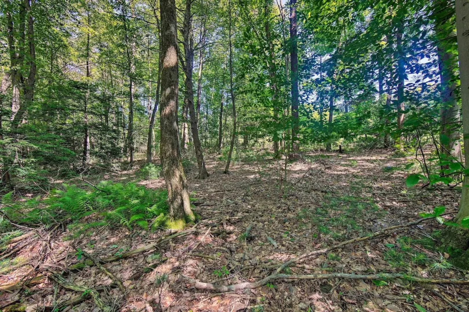 Hike, Hunt & Unwind: Cozy Cabin Near Hersheypark